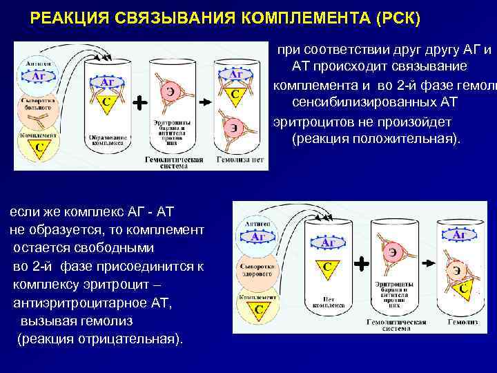 РЕАКЦИЯ СВЯЗЫВАНИЯ КОМПЛЕМЕНТА (РСК) если же комплекс АГ - АТ не образуется, то комплемент