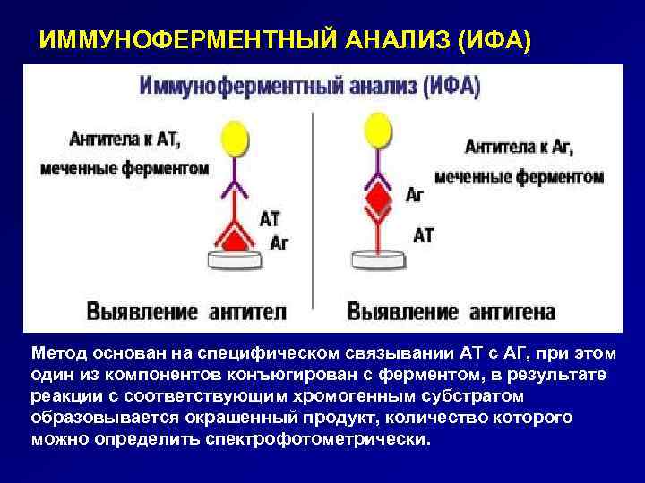 ИММУНОФЕРМЕНТНЫЙ АНАЛИЗ (ИФА) Метод основан на специфическом связывании АТ с АГ, при этом один