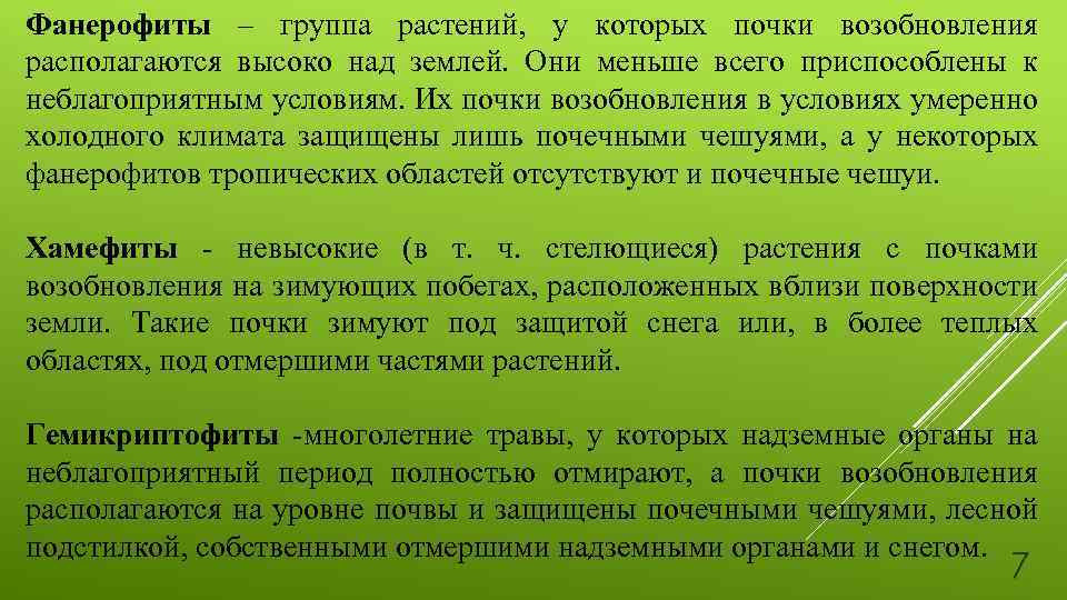 Фанерофиты – группа растений, у которых почки возобновления располагаются высоко над землей. Они меньше