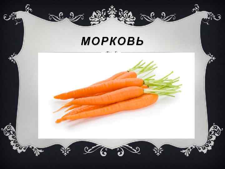 МОРКОВЬ 