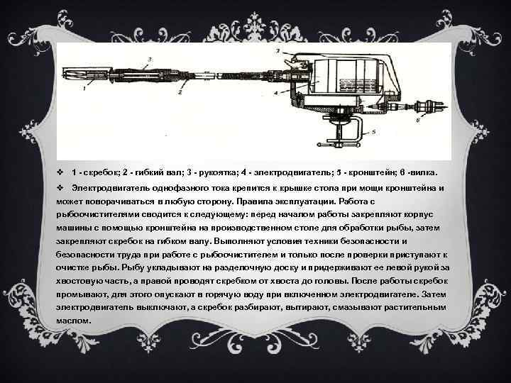 v 1 - скребок; 2 - гибкий вал; 3 - рукоятка; 4 - электродвигатель;