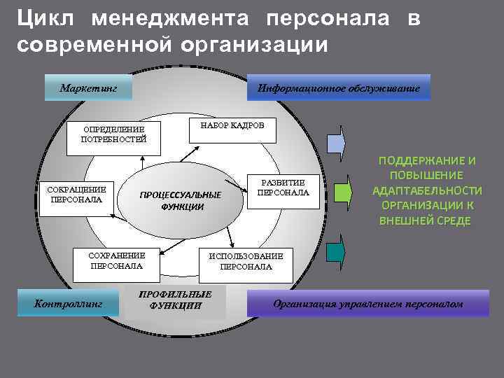 Цикл менеджмента