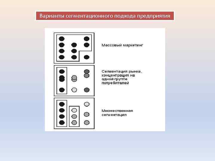 Варианты сегментационного подхода предприятия 