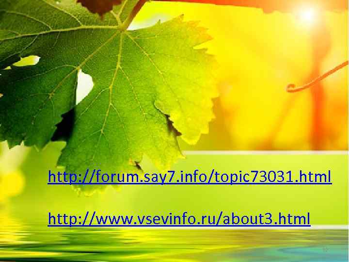 http: //forum. say 7. info/topic 73031. html http: //www. vsevinfo. ru/about 3. html 32