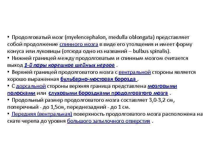  • Продолговатый мозг (myelencephalon, medulla oblongata) представляет собой продолжение спинного мозга в виде