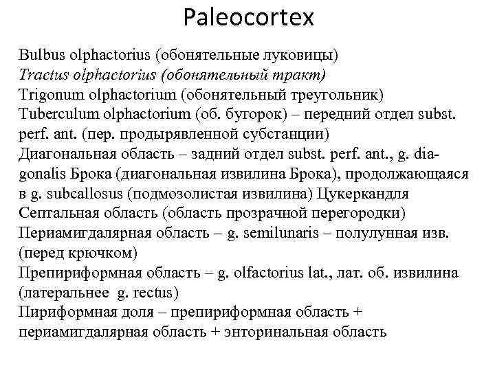 Paleocortex Bulbus olphactorius (обонятельные луковицы) Tractus olphactorius (обонятельный тракт) Trigonum olphactorium (обонятельный треугольник) Tuberculum