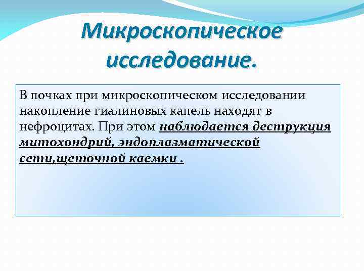 Микроскопическое исследование. В почках при микроскопическом исследовании накопление гиалиновых капель находят в нефроцитах. При