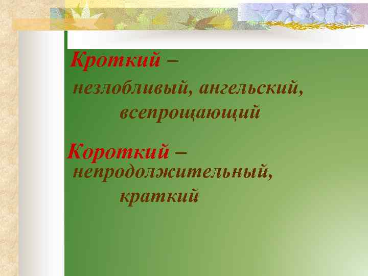 Кроткий – незлобливый, ангельский, всепрощающий Короткий – непродолжительный, краткий 