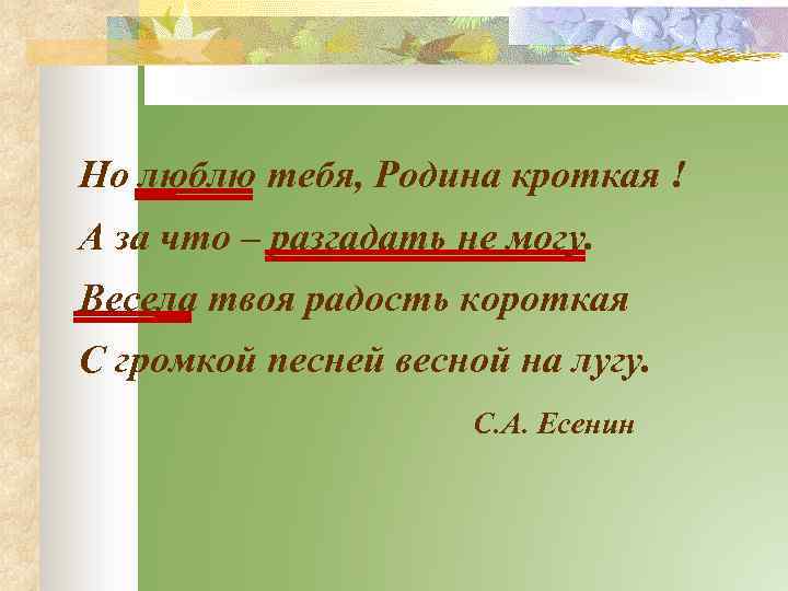 Но люблю тебя, Родина кроткая ! А за что – разгадать не могу. Весела