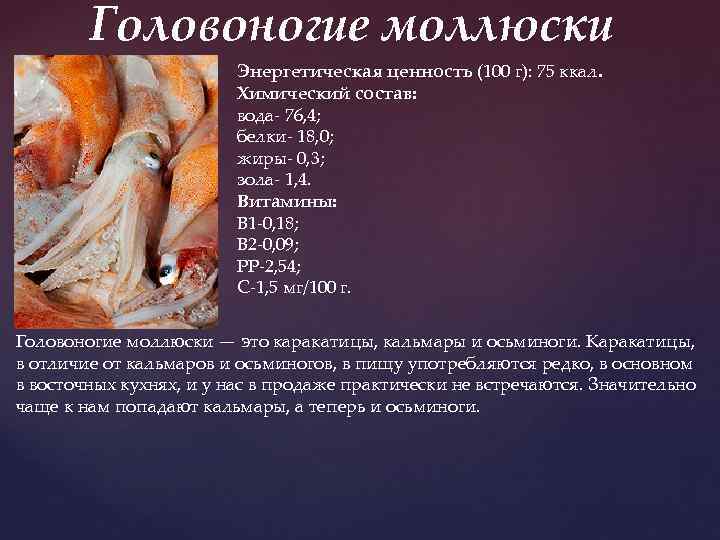 Головоногие моллюски Энергетическая ценность (100 г): 75 ккал. Химический состав: вода- 76, 4; белки-