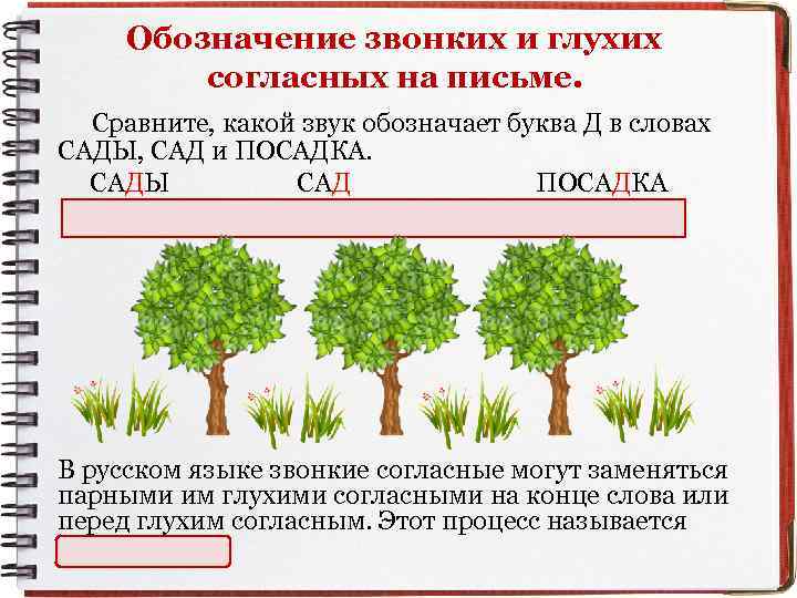 Обозначение звонких и глухих согласных на письме. Сравните, какой звук обозначает буква Д в