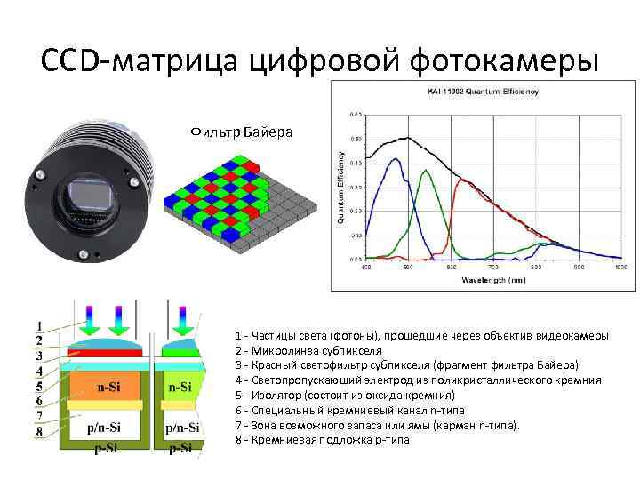 Дискретная матрица. Строение матрицы фотоаппарата. Структура ПЗС матрицы.