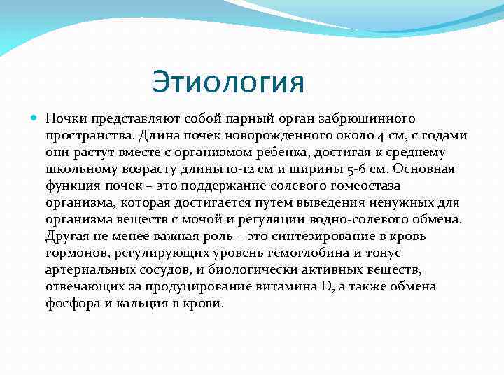 Этиология Почки представляют собой парный орган забрюшинного пространства. Длина почек новорожденного около 4 см,