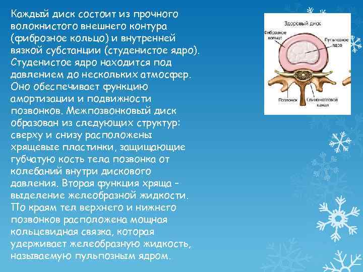 Каждый диск состоит из прочного волокнистого внешнего контура (фиброзное кольцо) и внутренней вязкой субстанции
