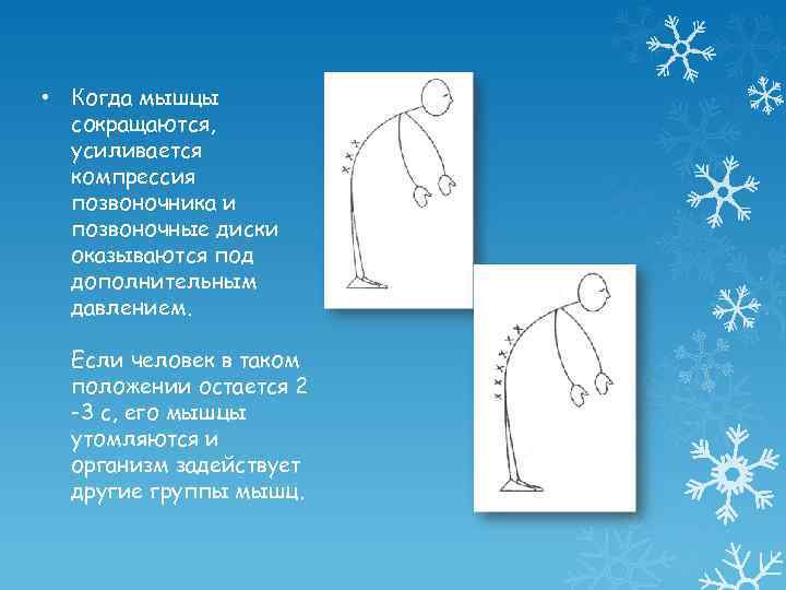  • Когда мышцы сокращаются, усиливается компрессия позвоночника и позвоночные диски оказываются под дополнительным