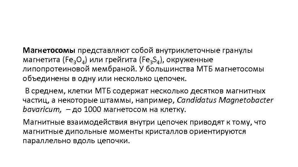 Магнетосомы представляют собой внутриклеточные гранулы магнетита (Fe 3 O 4) или грейгита (Fe 3
