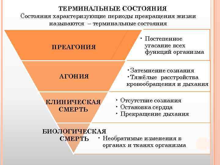 ТЕРМИНАЛЬНЫЕ СОСТОЯНИЯ Состояния характеризующие периоды прекращения жизни называются – терминальные состояния ПРЕАГОНИЯ КЛИНИЧЕСКАЯ СМЕРТЬ