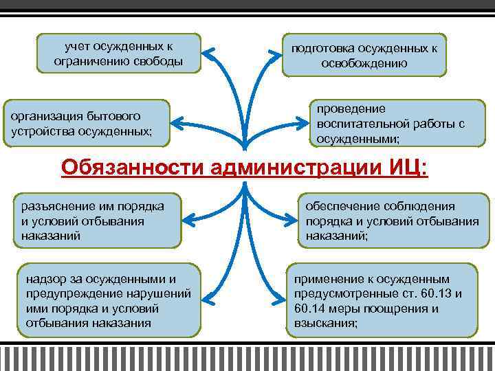 Виды свободы учреждения