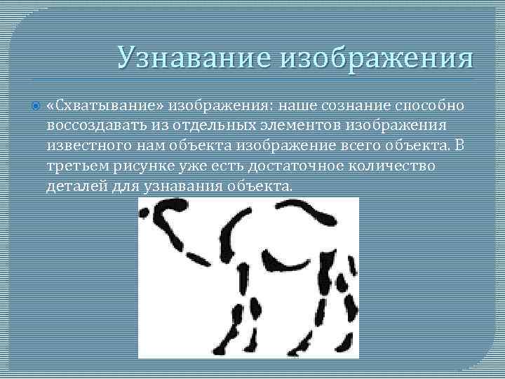 Узнавание изображения «Схватывание» изображения: наше сознание способно воссоздавать из отдельных элементов изображения известного нам