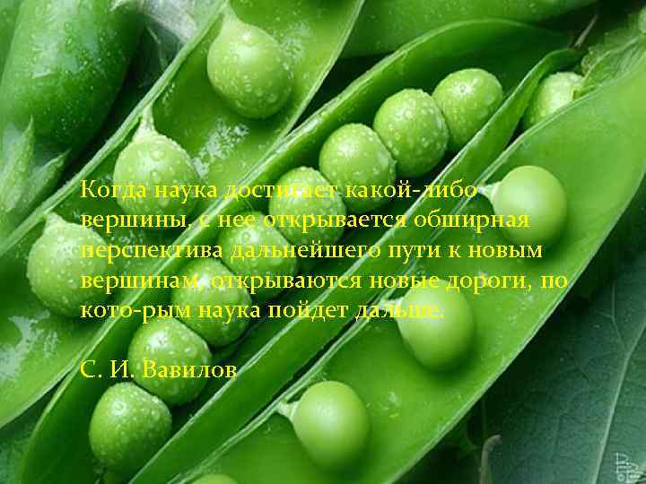 Когда наука достигает какой либо вершины, с нее открывается обширная перспектива дальнейшего пути к