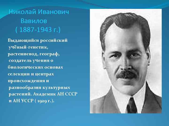 Николай Иванович Вавилов ( 1887 -1943 г. ) Выдающийся российский учёный-генетик, растениевод, географ, создатель