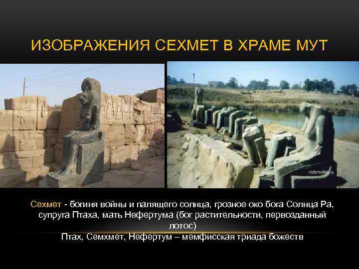 ИЗОБРАЖЕНИЯ СЕХМЕТ В ХРАМЕ МУТ Сехмет - богиня войны и палящего солнца, грозное око