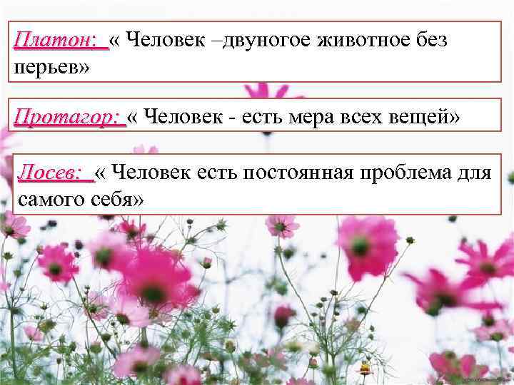 Платон: « Человек –двуногое животное без перьев» Протагор: « Человек - есть мера всех