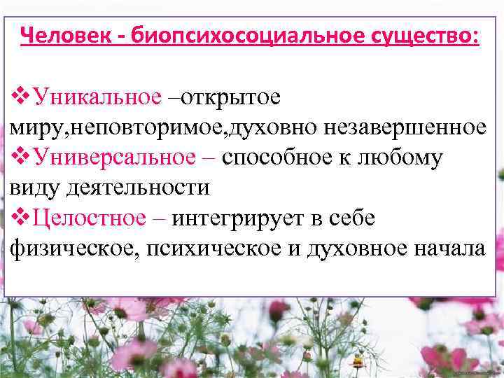 Человек - биопсихосоциальное существо: v. Уникальное –открытое миру, неповторимое, духовно незавершенное v. Универсальное –