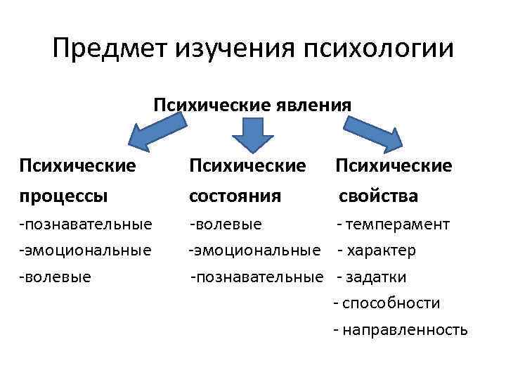 Предмет изучения психологии Психические явления Психические процессы Психические состояния Психические свойства -познавательные -эмоциональные -волевые