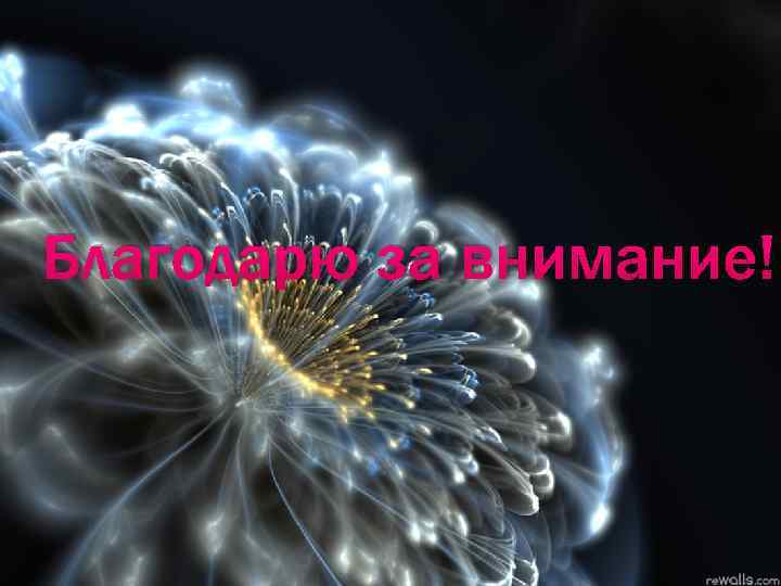 Благодарю за внимание! 