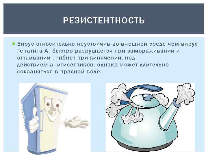 РЕЗИСТЕНТНОСТЬ Вирус относительно неустойчив во внешней среде чем вирус Гепатита А, быстро разрушается при