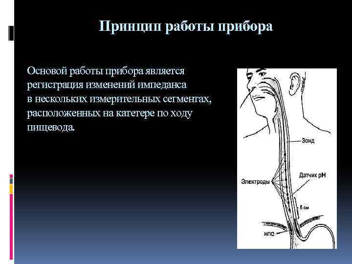 Принцип работы прибора Основой работы прибора является регистрация изменений импеданса в нескольких измерительных сегментах,