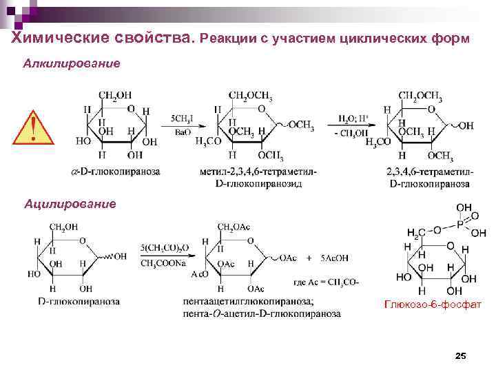 Химические свойства. Реакции с участием циклических форм Алкилирование Ацилирование Глюкозо-6 -фосфат 25 