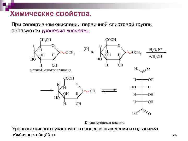 Химические свойства. При селективном окислении первичной спиртовой группы образуются уроновые кислоты. Уроновые кислоты участвуют