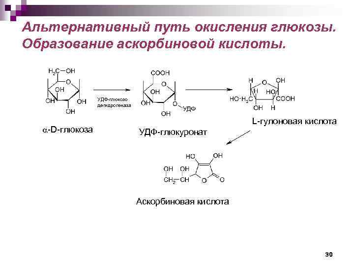 Альтернативный путь окисления глюкозы. Образование аскорбиновой кислоты. УДФ-глюкозо дегидрогеназа -D-глюкоза L-гулоновая кислота УДФ-глюкуронат Аскорбиновая