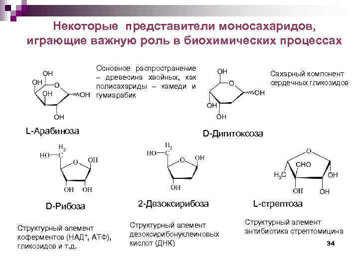 Некоторые представители моносахаридов, играющие важную роль в биохимических процессах Основное распространение древесина хвойных, как