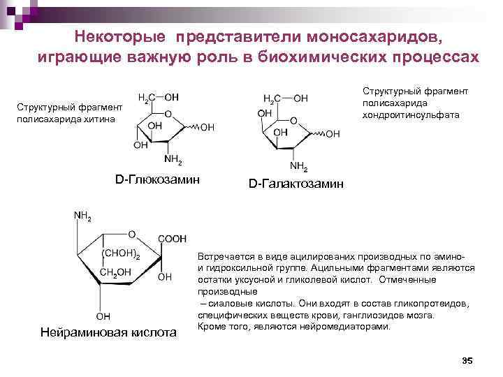 Некоторые представители моносахаридов, играющие важную роль в биохимических процессах Структурный фрагмент полисахарида хондроитинсульфата Структурный