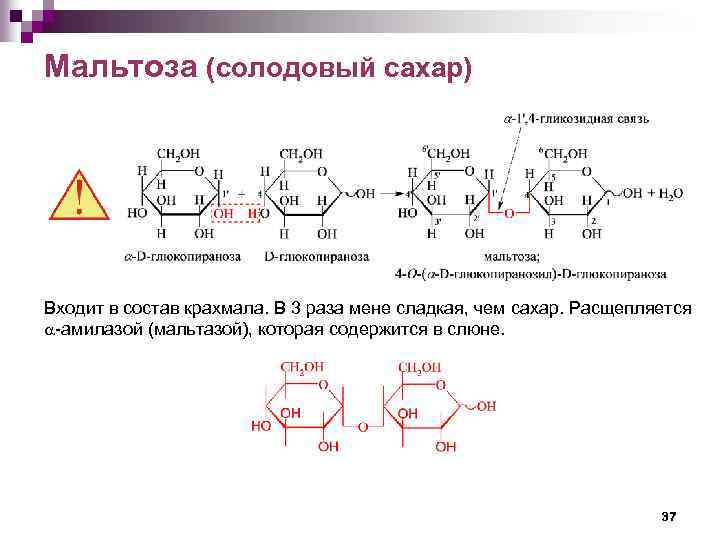 Мальтоза (солодовый сахар) Входит в состав крахмала. В 3 раза мене сладкая, чем сахар.