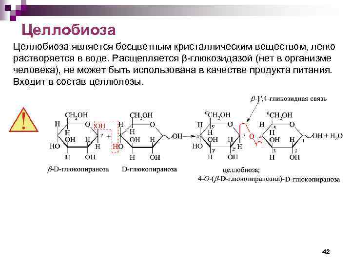 Схема образования целлобиозы