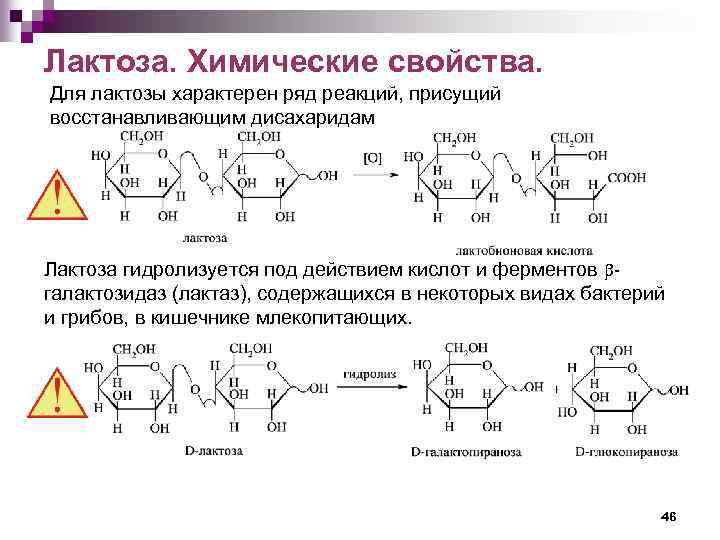 Лактоза. Химические свойства. Для лактозы характерен ряд реакций, присущий восстанавливающим дисахаридам Лактоза гидролизуется под