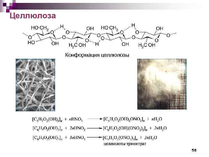 Целлюлоза Конформация целлюлозы 56 