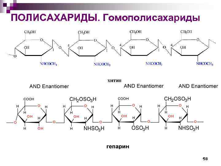 ПОЛИСАХАРИДЫ. Гомополисахариды 58 