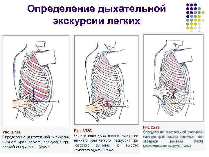 Экскурсия грудной клетки