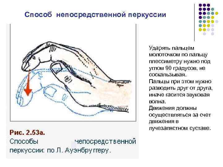 В изображенном на рисунке опыте экспериментатор ударяет неврологическим молоточком чуть ниже колена