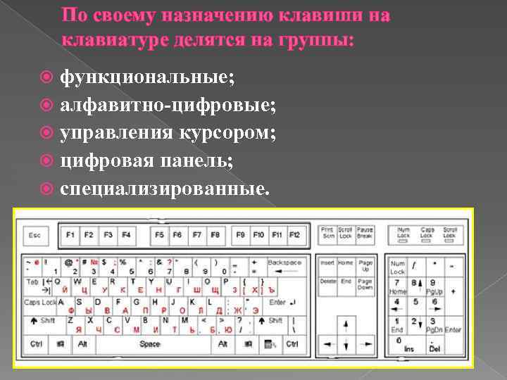 По своему назначению клавиши на клавиатуре делятся на группы: функциональные; алфавитно-цифровые; управления курсором; цифровая