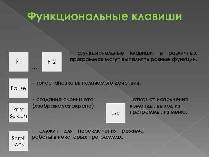 Функциональные клавиши F 1 Pause Print Screen Scroll Lock … F 12 - функциональные