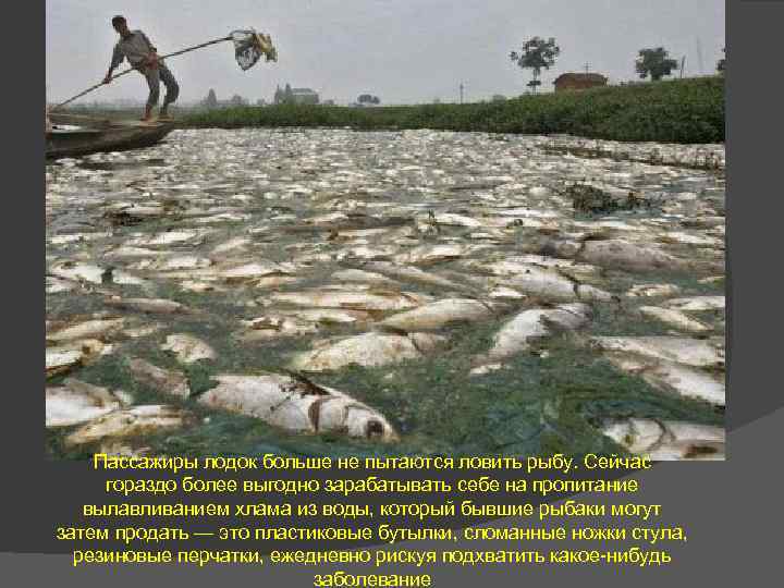 Пассажиры лодок больше не пытаются ловить рыбу. Сейчас гораздо более выгодно зарабатывать себе на