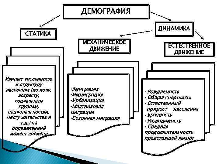 ДЕМОГРАФИЯ ДИНАМИКА СТАТИКА МЕХАНИЧЕСКОЕ ДВИЖЕНИЕ Изучает численность и структуру населения (по полу, возрасту, социальным