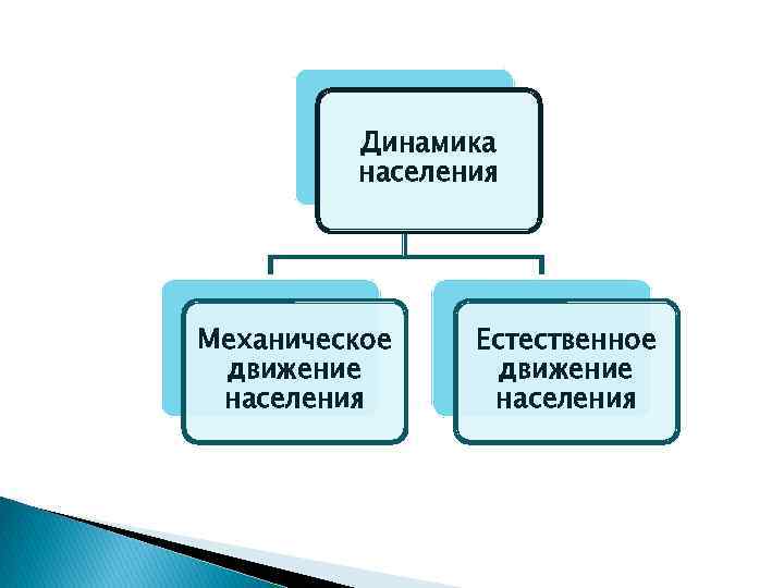 Динамика населения Механическое движение населения Естественное движение населения 