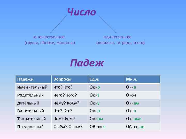 Число множественное (груши, яблоки, машины) единственное (девочка, тетрадь, окно) Падежи Вопросы Ед. ч. Мн.